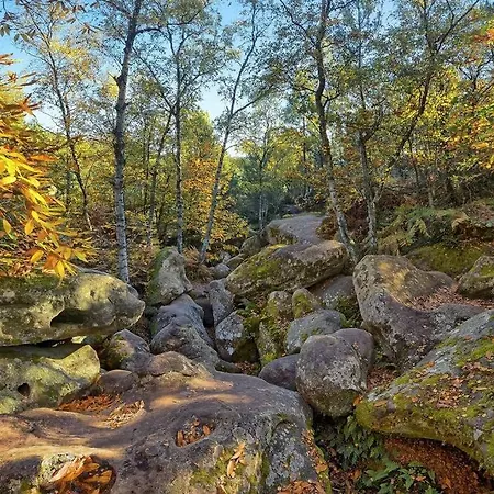 Pop Design Milly-la-Foret