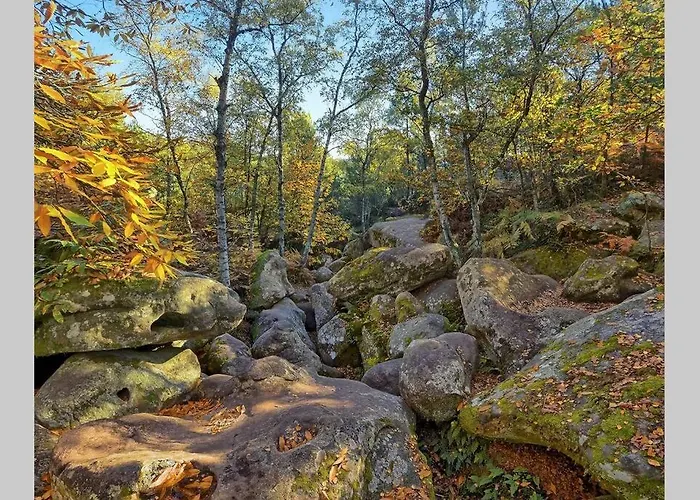 Pop Design Milly-la-Foret